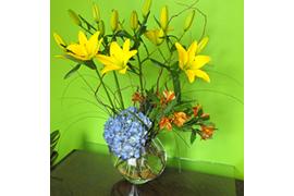 excitement - Florist serving Vancouver WA