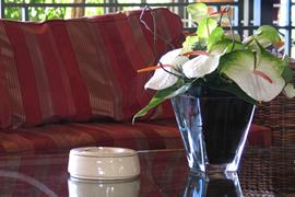 Tropical Flower delivery in Vancouver WA