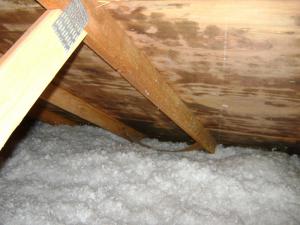 Mold in the Attic Portand Mold Testing Services